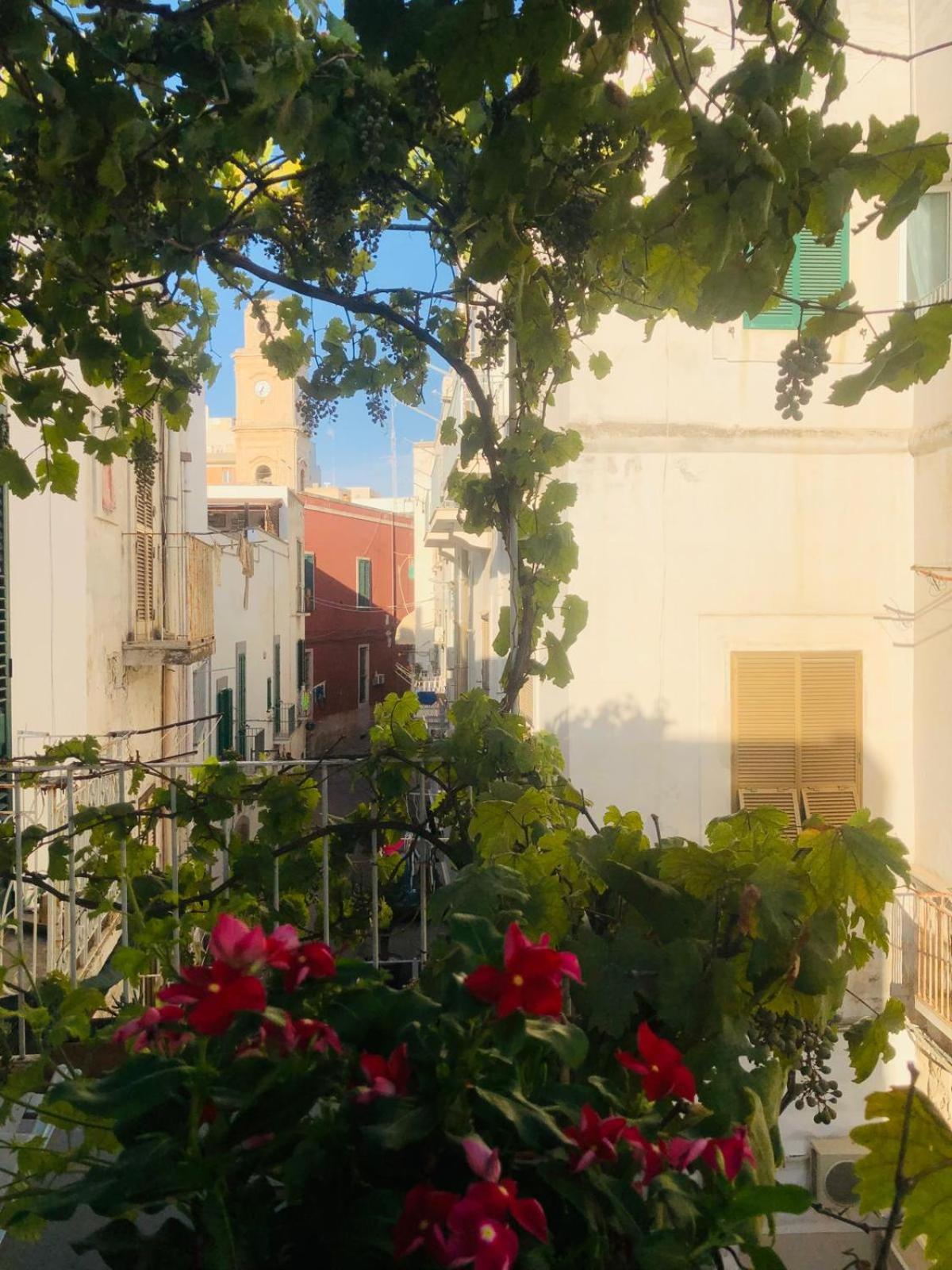 Novecento Apartment Monopoli Exterior photo